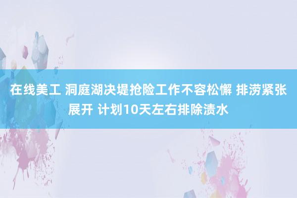 在线美工 洞庭湖决堤抢险工作不容松懈 排涝紧张展开 计划10天左右排除渍水