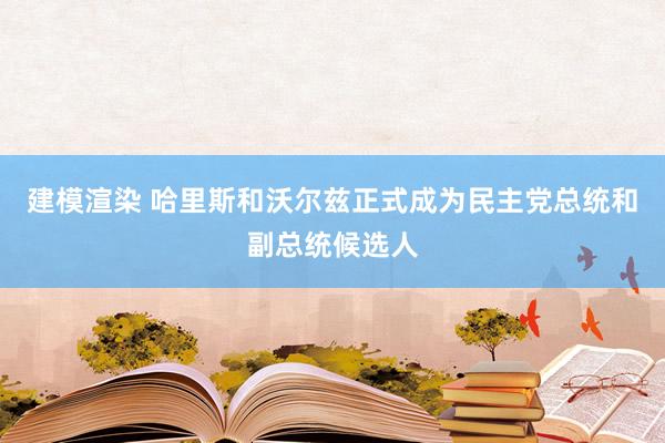 建模渲染 哈里斯和沃尔兹正式成为民主党总统和副总统候选人