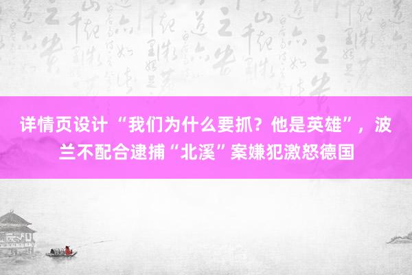 详情页设计 “我们为什么要抓？他是英雄”，波兰不配合逮捕“北溪”案嫌犯激怒德国